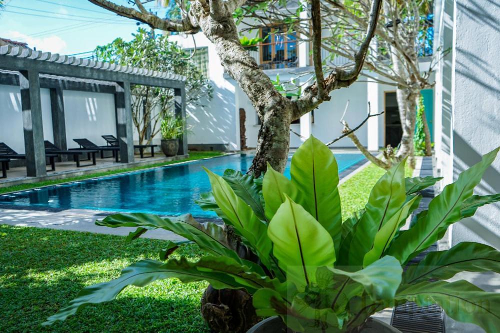 Temptation Hotel Хикадува Екстериор снимка